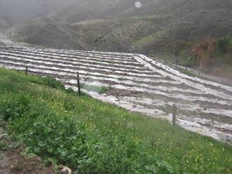 رود گاماسیاب